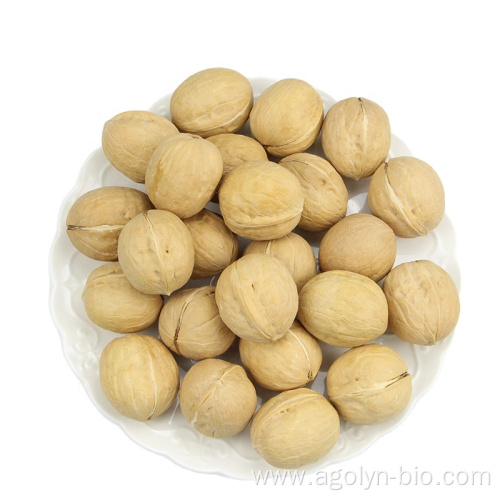 New Crop High Quality Shelled Raw Xin2 Walnuts